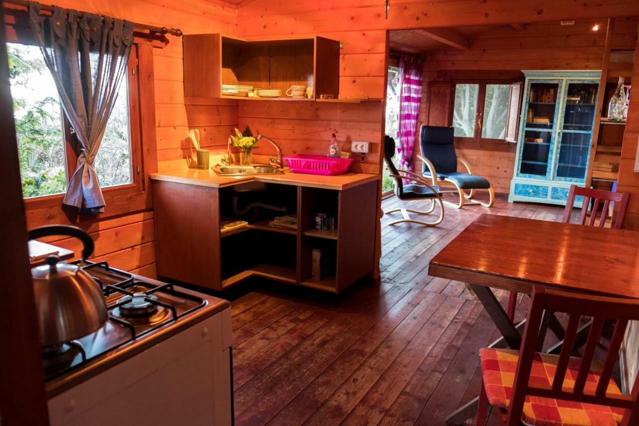 Finca Pura Vida Blockhaus Вилья-де-Масо Экстерьер фото
